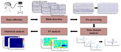 Blink-related EEG oscillations are neurophysiological indicators of subconcussive head impacts in female soccer players: a preliminary study